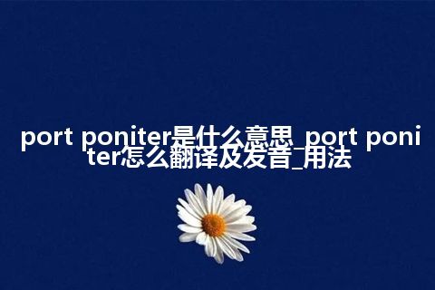 port poniter是什么意思_port poniter怎么翻译及发音_用法