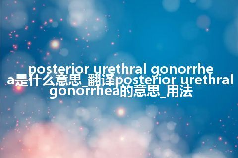 posterior urethral gonorrhea是什么意思_翻译posterior urethral gonorrhea的意思_用法
