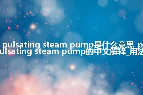 pulsating steam pump是什么意思_pulsating steam pump的中文解释_用法