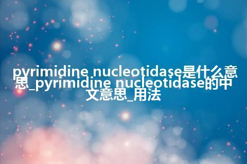 pyrimidine nucleotidase是什么意思_pyrimidine nucleotidase的中文意思_用法