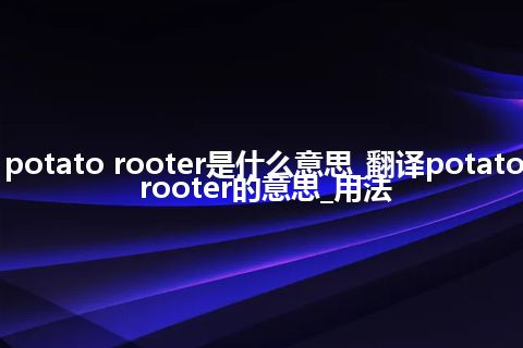 potato rooter是什么意思_翻译potato rooter的意思_用法