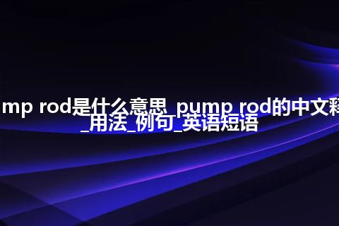 pump rod是什么意思_pump rod的中文释义_用法_例句_英语短语