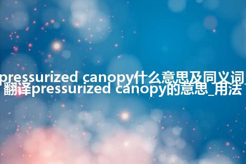 pressurized canopy什么意思及同义词_翻译pressurized canopy的意思_用法
