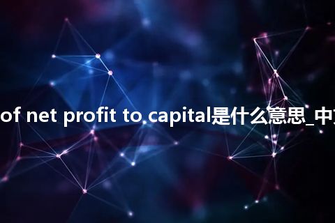 ratio of net profit to capital是什么意思_中文意思