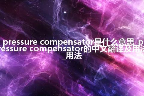 pressure compensator是什么意思_pressure compensator的中文翻译及用法_用法