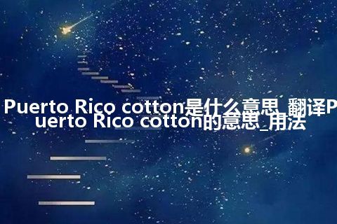 Puerto Rico cotton是什么意思_翻译Puerto Rico cotton的意思_用法