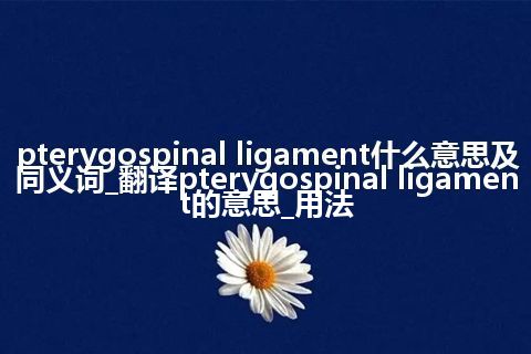 pterygospinal ligament什么意思及同义词_翻译pterygospinal ligament的意思_用法