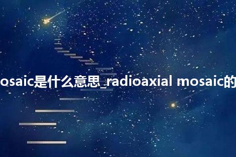 radioaxial mosaic是什么意思_radioaxial mosaic的中文释义_用法
