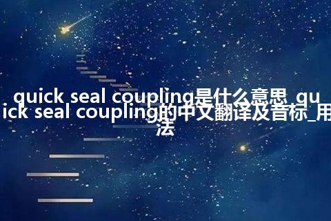 quick seal coupling是什么意思_quick seal coupling的中文翻译及音标_用法