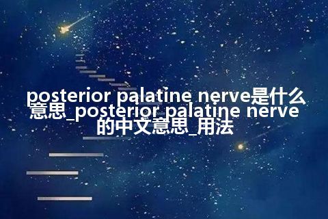 posterior palatine nerve是什么意思_posterior palatine nerve的中文意思_用法