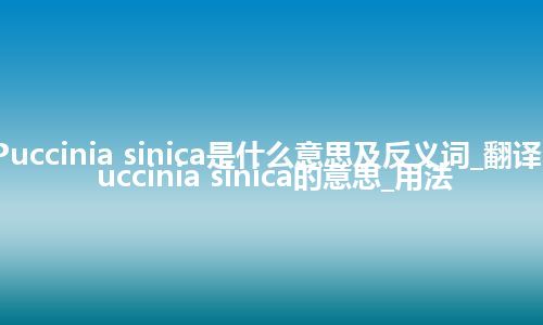Puccinia sinica是什么意思及反义词_翻译Puccinia sinica的意思_用法