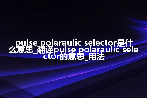 pulse polaraulic selector是什么意思_翻译pulse polaraulic selector的意思_用法