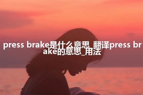 press brake是什么意思_翻译press brake的意思_用法