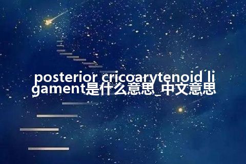 posterior cricoarytenoid ligament是什么意思_中文意思