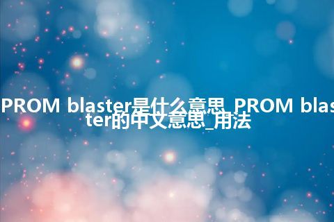 PROM blaster是什么意思_PROM blaster的中文意思_用法