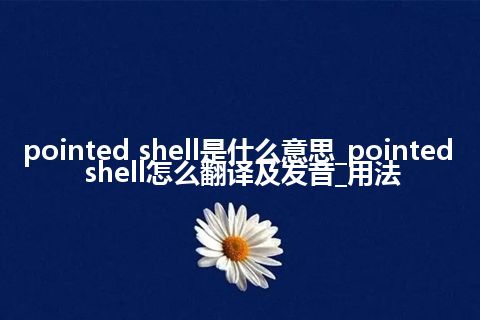 pointed shell是什么意思_pointed shell怎么翻译及发音_用法