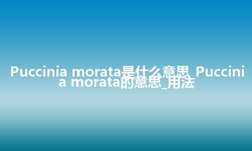 Puccinia morata是什么意思_Puccinia morata的意思_用法