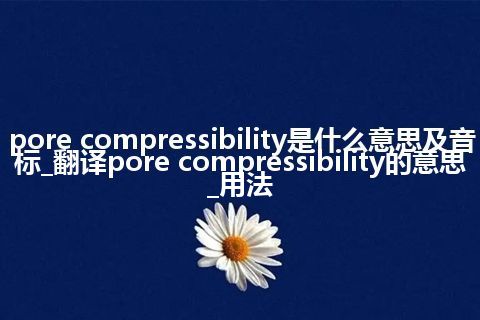 pore compressibility是什么意思及音标_翻译pore compressibility的意思_用法
