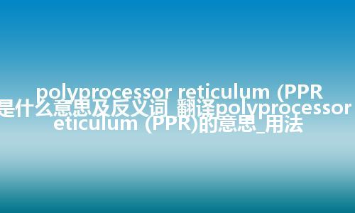 polyprocessor reticulum (PPR)是什么意思及反义词_翻译polyprocessor reticulum (PPR)的意思_用法