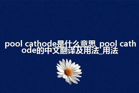 pool cathode是什么意思_pool cathode的中文翻译及用法_用法