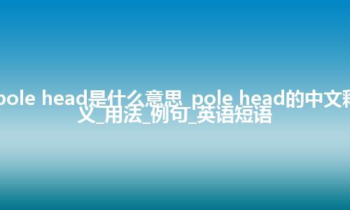 pole head是什么意思_pole head的中文释义_用法_例句_英语短语