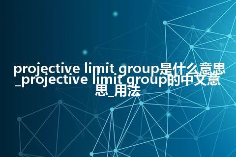 projective limit group是什么意思_projective limit group的中文意思_用法