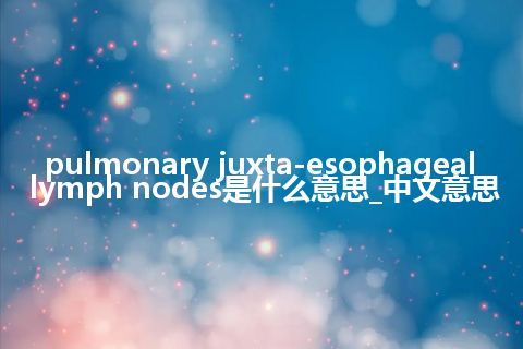 pulmonary juxta-esophageal lymph nodes是什么意思_中文意思