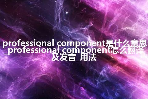 professional component是什么意思_professional component怎么翻译及发音_用法