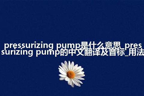 pressurizing pump是什么意思_pressurizing pump的中文翻译及音标_用法
