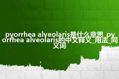 pyorrhea alveolaris是什么意思_pyorrhea alveolaris的中文释义_用法_同义词
