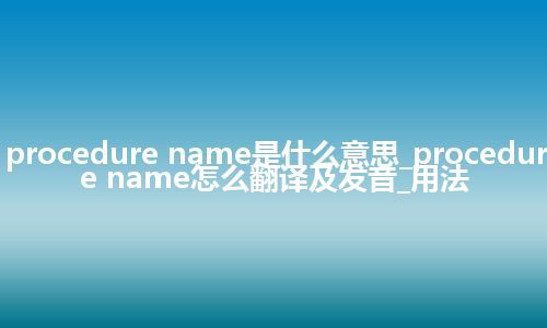 procedure name是什么意思_procedure name怎么翻译及发音_用法