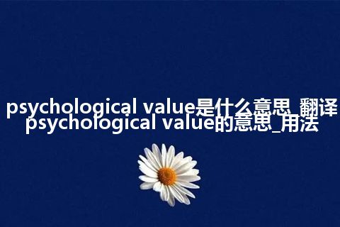 psychological value是什么意思_翻译psychological value的意思_用法