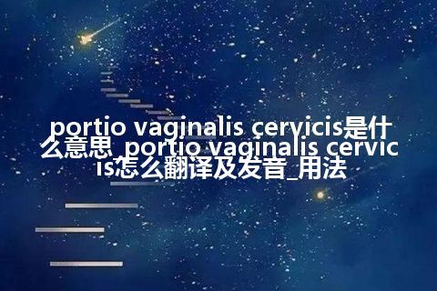 portio vaginalis cervicis是什么意思_portio vaginalis cervicis怎么翻译及发音_用法
