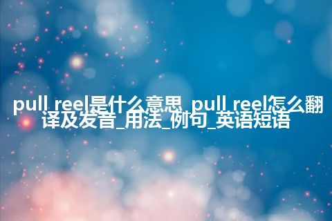 pull reel是什么意思_pull reel怎么翻译及发音_用法_例句_英语短语