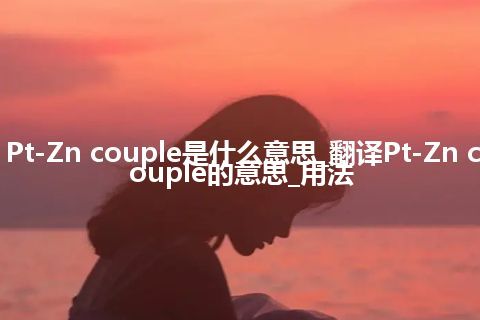 Pt-Zn couple是什么意思_翻译Pt-Zn couple的意思_用法