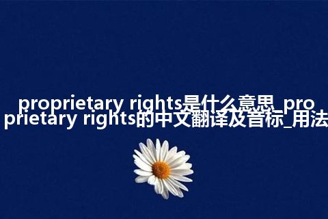 proprietary rights是什么意思_proprietary rights的中文翻译及音标_用法