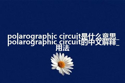 polarographic circuit是什么意思_polarographic circuit的中文解释_用法