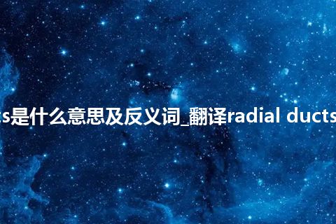 radial ducts是什么意思及反义词_翻译radial ducts的意思_用法