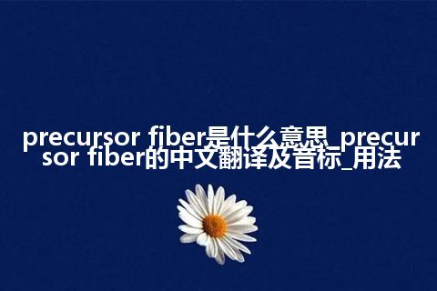 precursor fiber是什么意思_precursor fiber的中文翻译及音标_用法