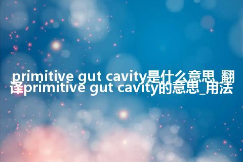 primitive gut cavity是什么意思_翻译primitive gut cavity的意思_用法