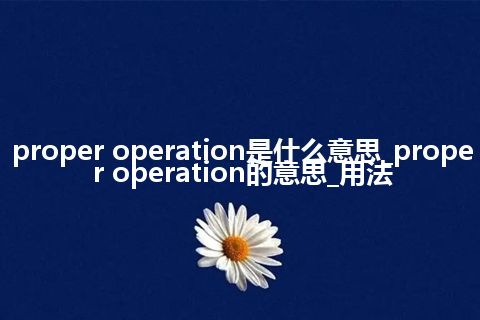 proper operation是什么意思_proper operation的意思_用法