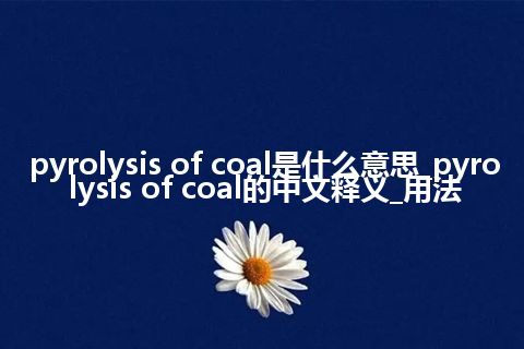 pyrolysis of coal是什么意思_pyrolysis of coal的中文释义_用法