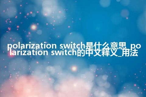 polarization switch是什么意思_polarization switch的中文释义_用法