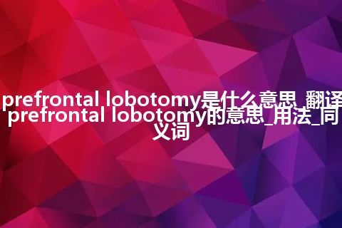 prefrontal lobotomy是什么意思_翻译prefrontal lobotomy的意思_用法_同义词