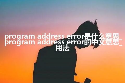 program address error是什么意思_program address error的中文意思_用法