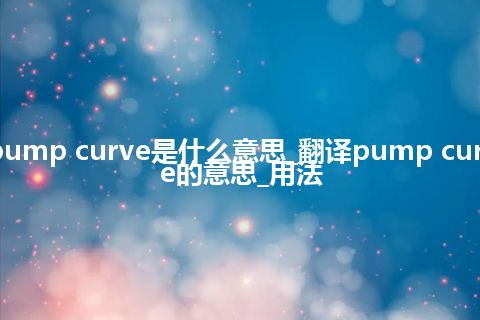 pump curve是什么意思_翻译pump curve的意思_用法
