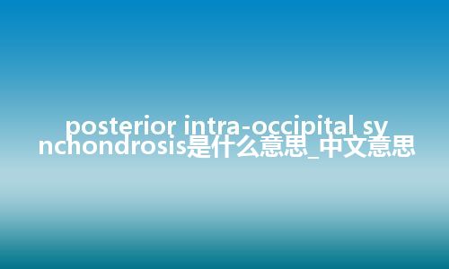 posterior intra-occipital synchondrosis是什么意思_中文意思
