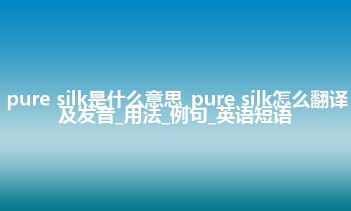 pure silk是什么意思_pure silk怎么翻译及发音_用法_例句_英语短语