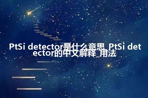PtSi detector是什么意思_PtSi detector的中文解释_用法