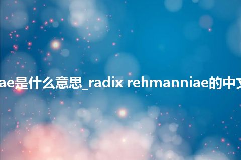 radix rehmanniae是什么意思_radix rehmanniae的中文翻译及音标_用法